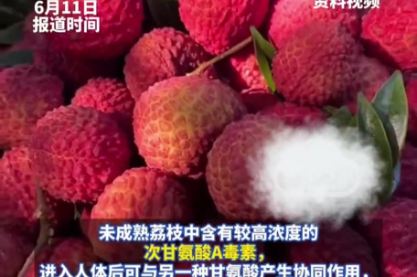 食用未成熟荔枝或引发急性低血糖