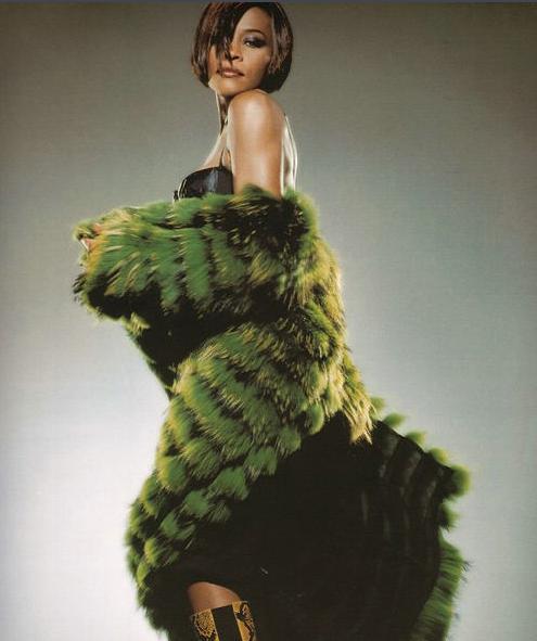 美国著名女歌手惠特妮·休斯顿简介 她生平都经历了什么事情