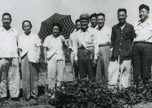 陶峙岳因为什么事情跟袁作斌争执起来?最后的结果是什么 陶峙岳因为什么事情跟袁作斌争执起来?最后的结果是什么