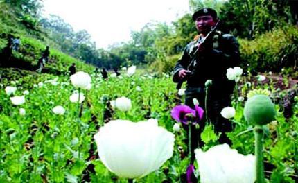 鲍有祥继承坤沙的位置之后为什么毒品交易不减反增呢 鲍有祥继承坤沙的位置之后为什么毒品交易不减反增呢