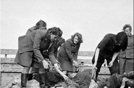 美艳女屠夫伊尔玛&middot;格蕾泽的称呼是怎么来的 她都干过哪些事情