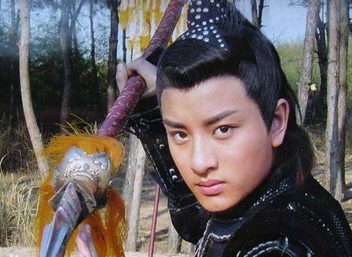 杨延昭是什么样的人？长期镇守边关，不通吏事，被下属所欺骗