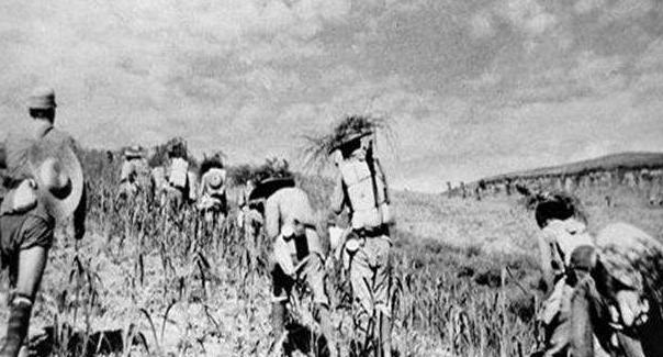 揭秘:大将许光达与同窗廖昂的战场对决 揭秘:大将许光达与同窗廖昂的战场对决