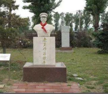 蒋维平的生平如何？此人60岁奔赴战场，17年后获中将军衔