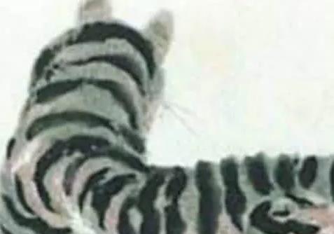 齐白石的画值多少钱?放大20倍才知道什么是名作 齐白石的画值多少钱?放大20倍才知道什么是名作