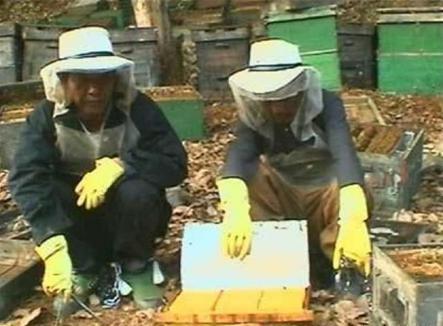 鲍有祥继承坤沙的位置之后为什么毒品交易不减反增呢 鲍有祥继承坤沙的位置之后为什么毒品交易不减反增呢