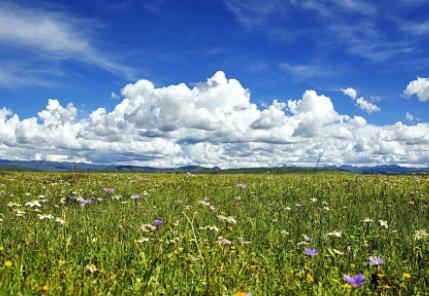 成吉思汗废除了什么制度 竟然将蒙古姑娘解放了出来 成吉思汗废除了什么制度 竟然将蒙古姑娘解放了出来