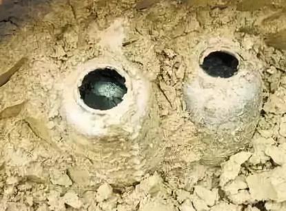 古代人都吃什么?不愧是中国人还挺讲究 古代人都吃什么?不愧是中国人还挺讲究