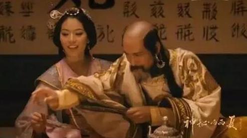 西夏权臣之一：没藏讹庞生平做过的阴谋