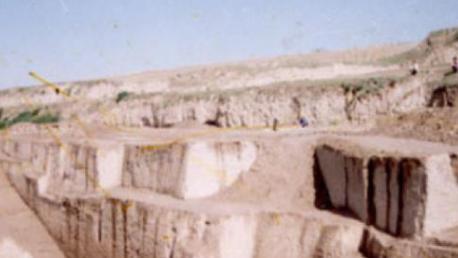 秦悼公为什么会修筑雍城?留下宝贵的文化遗产 秦悼公为什么会修筑雍城?留下宝贵的文化遗产