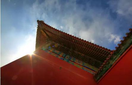 古代故宫里面为什么没有种树 难道皇帝不给种树吗 古代故宫里面为什么没有种树 难道皇帝不给种树吗