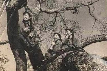 平凡又传奇的人生:杨玉华的晚年生活如何? 平凡又传奇的人生:杨玉华的晚年生活如何?