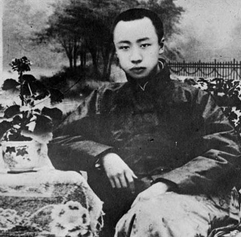 慈禧为甚选择三岁不到的溥仪去继承新位？