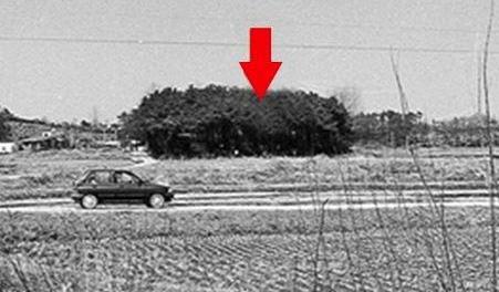 韩国华城连环杀人案——韩国三大悬案之一