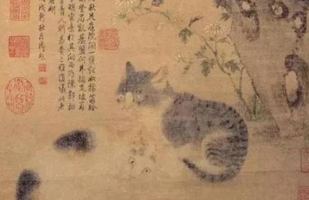 猫是怎么一步步变成宠物的？历史上的头号猫奴竟然是陆游？