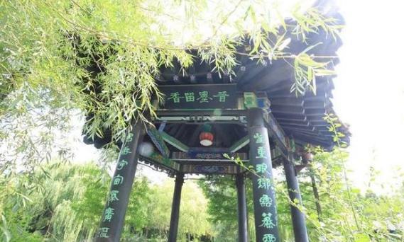 冠冕不绝的琅琊王氏：有600多人名垂青史