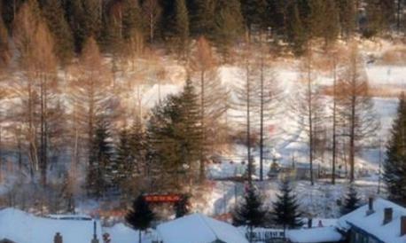 覆灭了北宋的金国,历史上是个什么样的国家 覆灭了北宋的金国,历史上是个什么样的国家