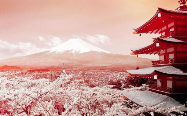 王维曾被公主相中，科举直接被评为状元