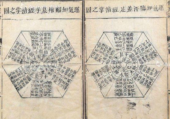 关于成无己的评价是怎样的？他的理论对后世有什么影响