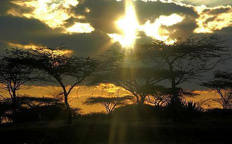 东非大裂谷位于非洲的什么地方 周围附近的环境是什么样的