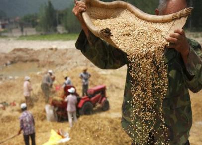 历史上的李绅到底是什么样的 他当官之后怎么样了 历史上的李绅到底是什么样的 他<a href=https://www.lishiji.cn/lishi/9762/ target=_blank class=infotextkey>当官</a>之后怎么样了