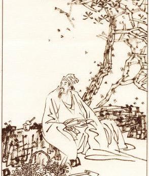 张景岳：明代杰出医学家，为温补学派的代表人物，也是实际的创始者