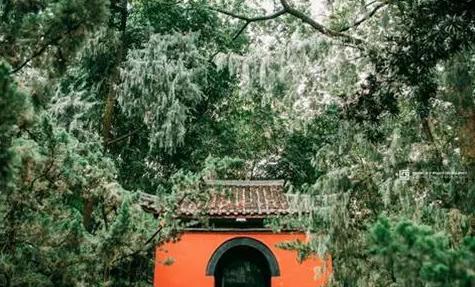 刘伯温找到诸葛亮的墓,被墓上5个字吓得直接磕头? 刘伯温找到诸葛亮的墓,被墓上5个字吓得直接磕头?