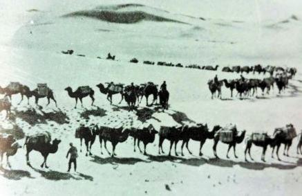 关于<a href=https://www.lishiji.cn/lishi/6579/ target=_blank class=infotextkey>徐中舒</a>的评价是怎么样的？他是怎样一个人