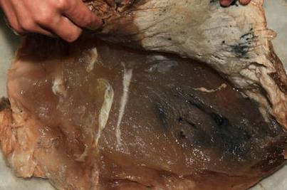 太岁究竟是何方神圣?亦或是何方妖孽 太岁究竟是何方神圣?亦或是何方妖孽