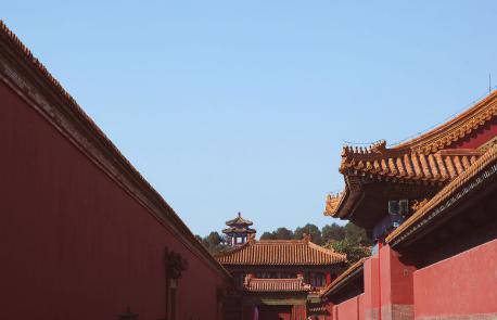 古代故宫里面为什么没有种树 难道皇帝不给种树吗 古代故宫里面为什么没有种树 难道皇帝不给种树吗
