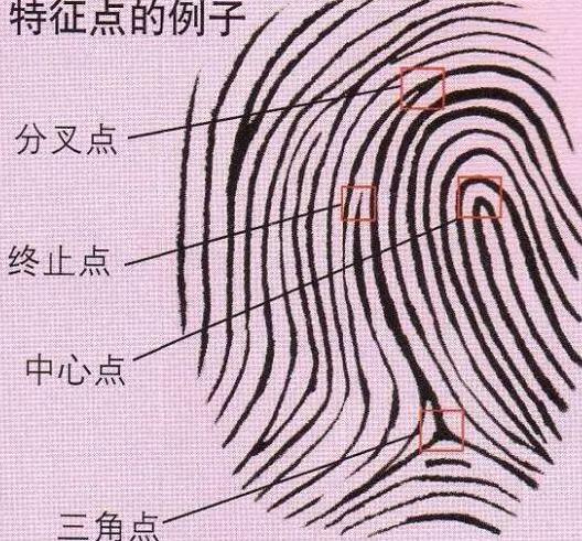 古代为什么需要画押按手印,古人靠什么来识别指纹呢 古代为什么需要画押按手印,古人靠什么来识别指纹呢