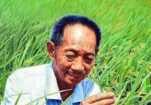 明朝陈振龙为什么会会称为古代袁隆平?
