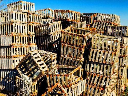 美国自认为的流氓国家有哪些？都有着哪些相同点