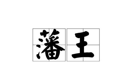 藩王:地方官吏与天子之间的统治者,有自己的藩王国 藩王:地方官吏与天子之间的统治者,有自己的藩王国