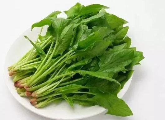 唐朝“西餐”食谱都有哪些东西?唐朝百姓喜欢什么胡食 唐朝“西餐”食谱都有哪些东西?唐朝百姓喜欢什么胡食