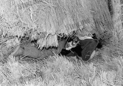 韩国华城连环杀人案——韩国三大悬案之一