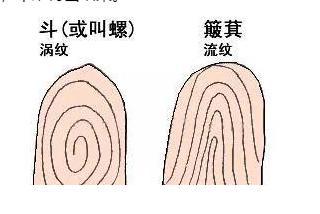 古代为什么需要画押按手印,古人靠什么来识别指纹呢 古代为什么需要画押按手印,古人靠什么来识别指纹呢