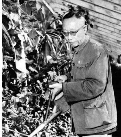 溥仪改造后回到北京,向政府提出的什么要求因为尴尬惨遭拒绝? 溥仪改造后回到北京,向政府提出的什么要求因为尴尬惨遭拒绝?