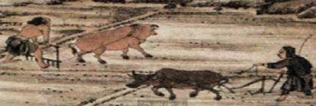 在古代,普通老百姓能吃到牛肉吗? 在古代,普通老百姓能吃到牛肉吗?