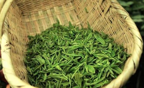 皇帝:茶叶多少钱一斤?茶农:500文!雍正回宫便处死3人 皇帝:茶叶多少钱一斤?茶农:500文!雍正回宫便处死3人