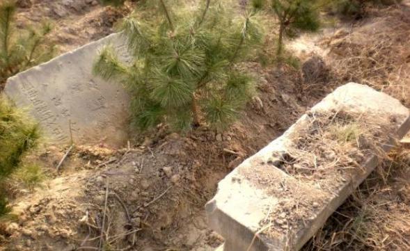 张嫣为什么会嫁给自己的舅舅？事情的真相是什么