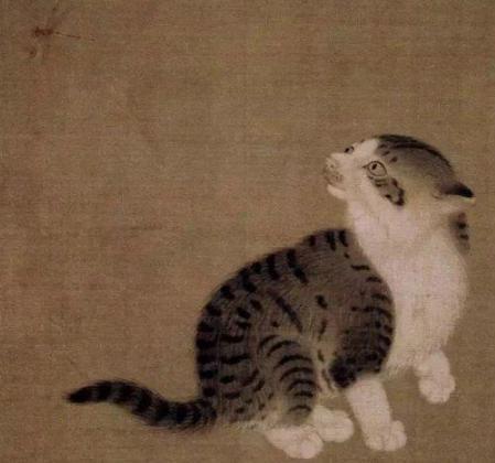 猫是怎么一步步变成宠物的？历史上的头号猫奴竟然是陆游？