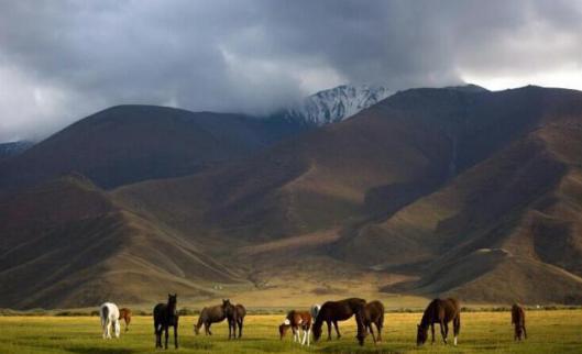 辽末代帝王天祚帝是怎么被逼到走投无路的?如果投宋还会灭亡吗? 辽末代帝王天祚帝是怎么被逼到走投无路的?如果投宋还会灭亡吗?