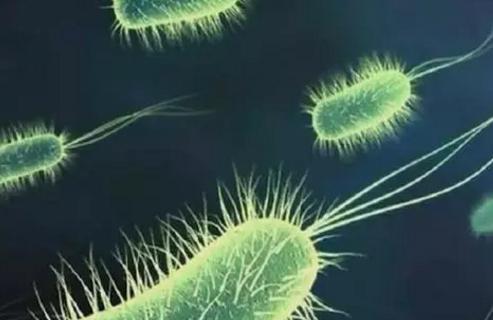 地球文明如果再发展10亿年后,会变成什么样? 地球文明如果再发展10亿年后,会变成什么样?