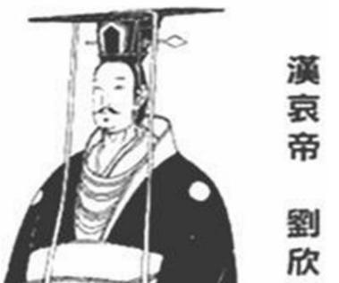汉哀帝为什么会出现两次登基的情况 主要是因为什么导致的 汉哀帝为什么会出现两次登基的情况 主要是因为什么导致的