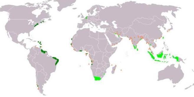 小小的荷兰为什么敢和强盛明朝为敌？最主要的原因是什么