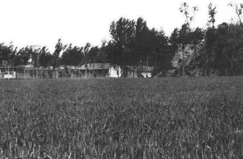 关于徐中舒的评价是怎么样的？他是怎样一个人