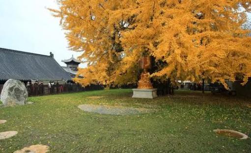 李世民送给唐僧的通关文牒上写了什么，为什么路过的地方的国王都对其恭恭敬敬的！