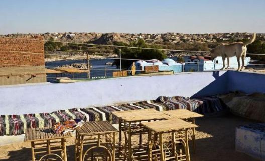 努比亚人有着怎样的生活习惯？为什么他们要将房子涂成蓝色