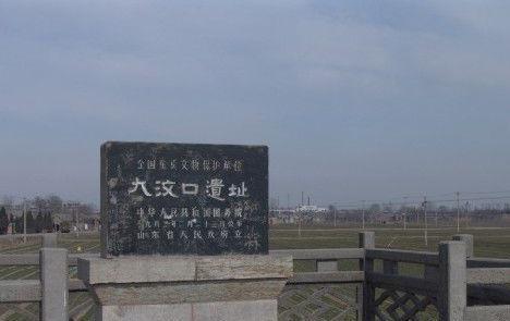 大汶口文化:中国新石器时代文化,因山东省泰安市大汶口遗址而得名